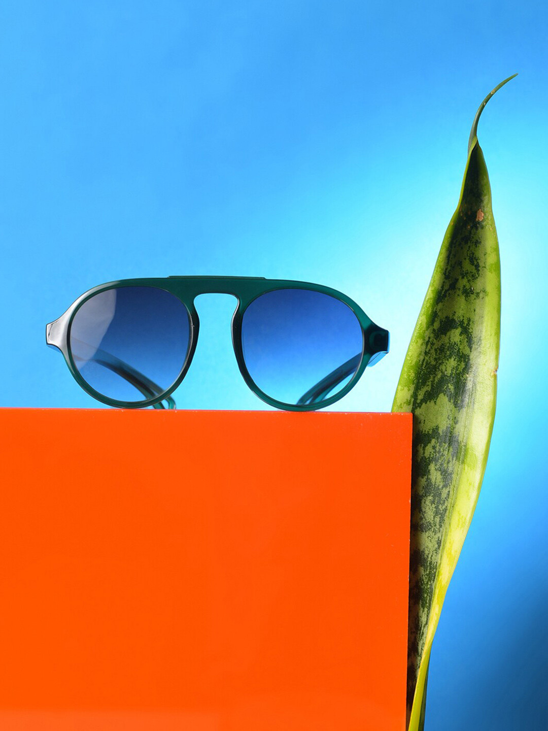 French Accent Men Oval Sunglasses with UV Protected Lens SS23FA_HSSG1078