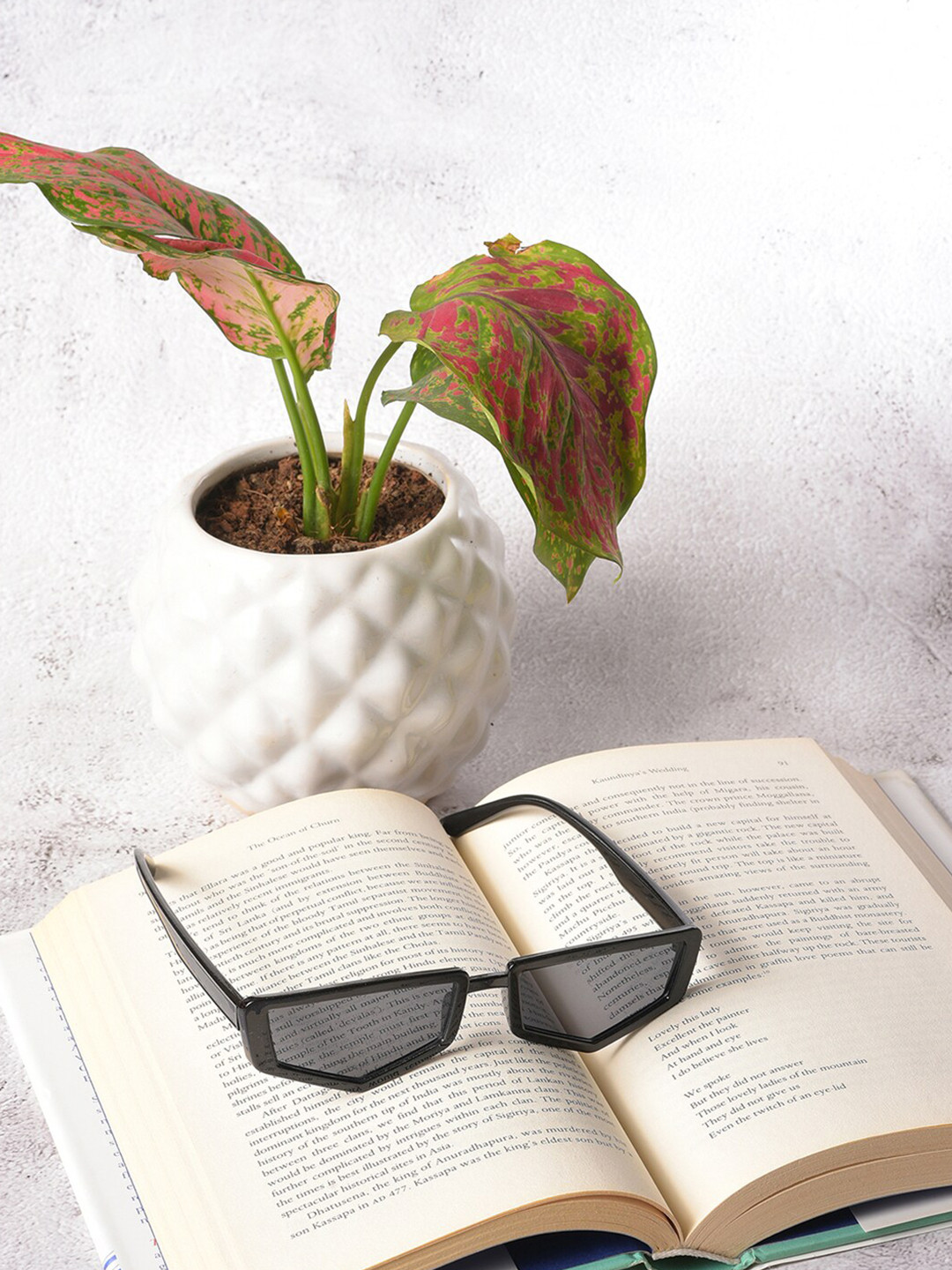 French Accent Men Other Sunglasses with Polarised Lens SS23FA_HSSG1009