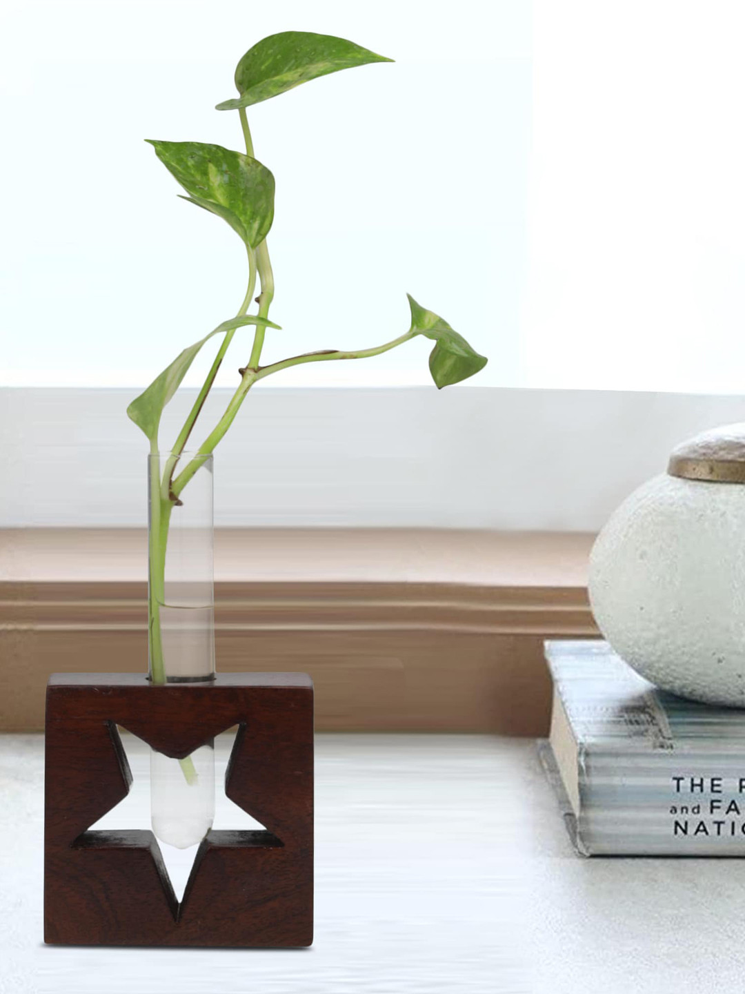 GLOBALLY INDIAN Transparent Glass Tube Planter With Brown Wooden Stand