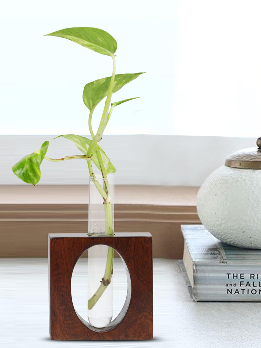 GLOBALLY INDIAN Brown & Transparent Wooden Test Tube Planter