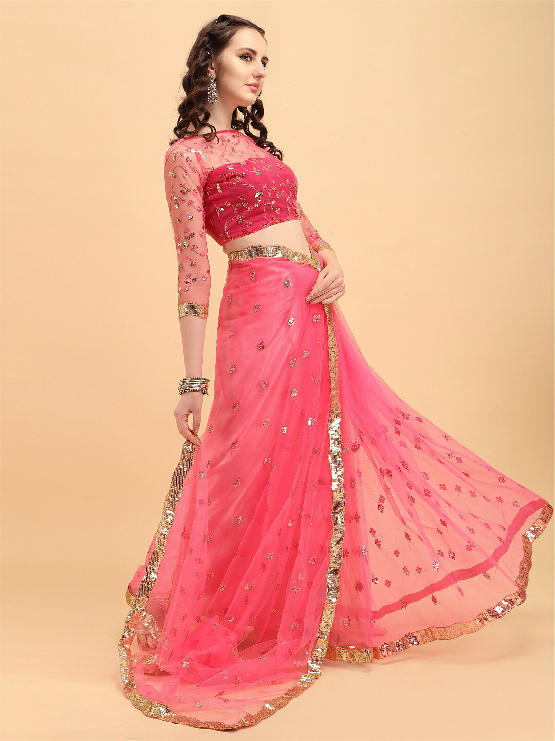 Sangria Zari Embellished Saree