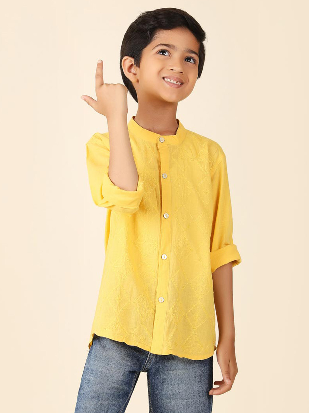 Fabindia Boys Embroidered Mandarin Collar Shirt