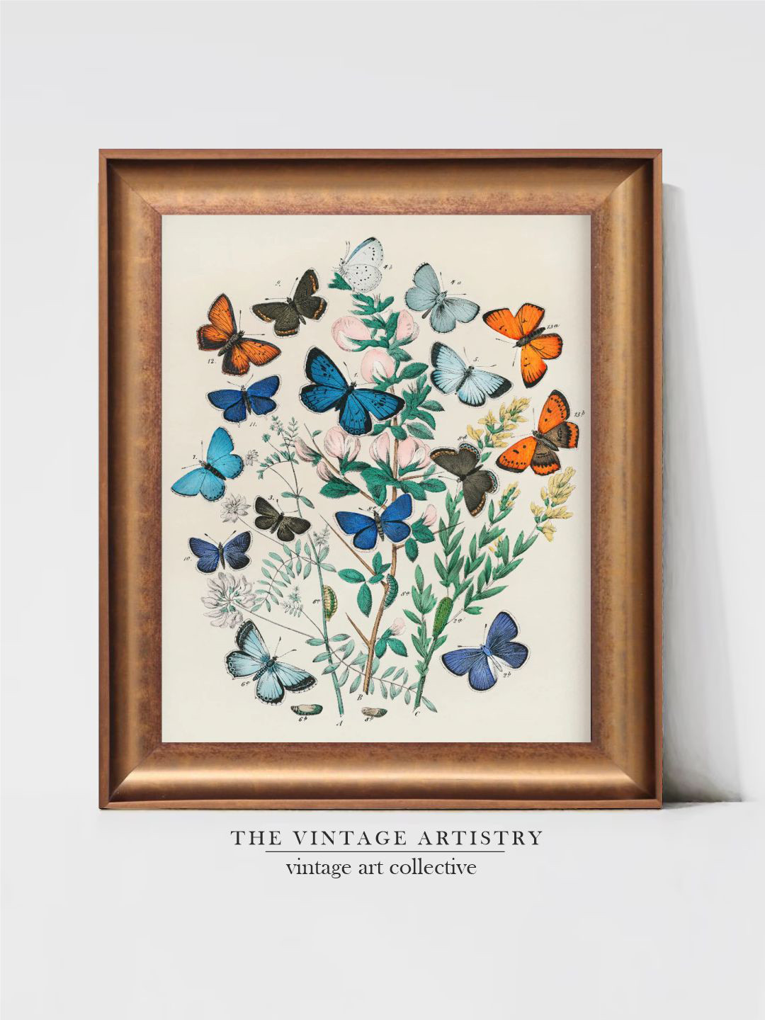 THE VINTAGE ARTISTRY Off White & Blue Butterfly Illustration Wall Painting