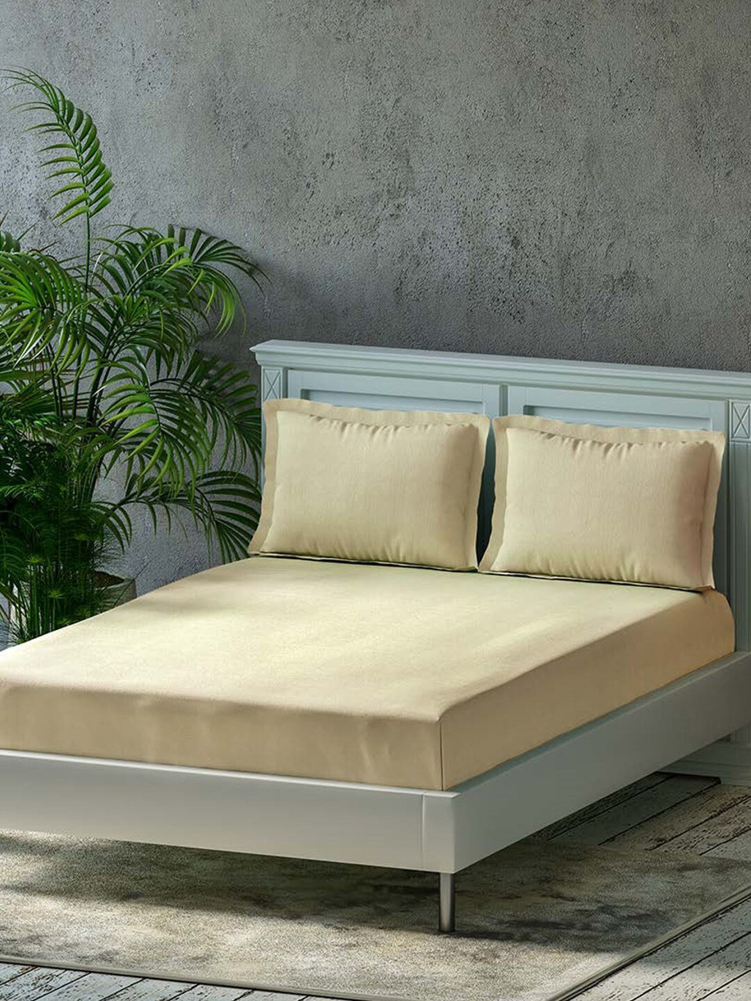 Trance Home Linen Beige Pure Cotton 300 TC Fitted Queen Superfine Bedsheet with 2 Pillow Covers-78 x 60 inches