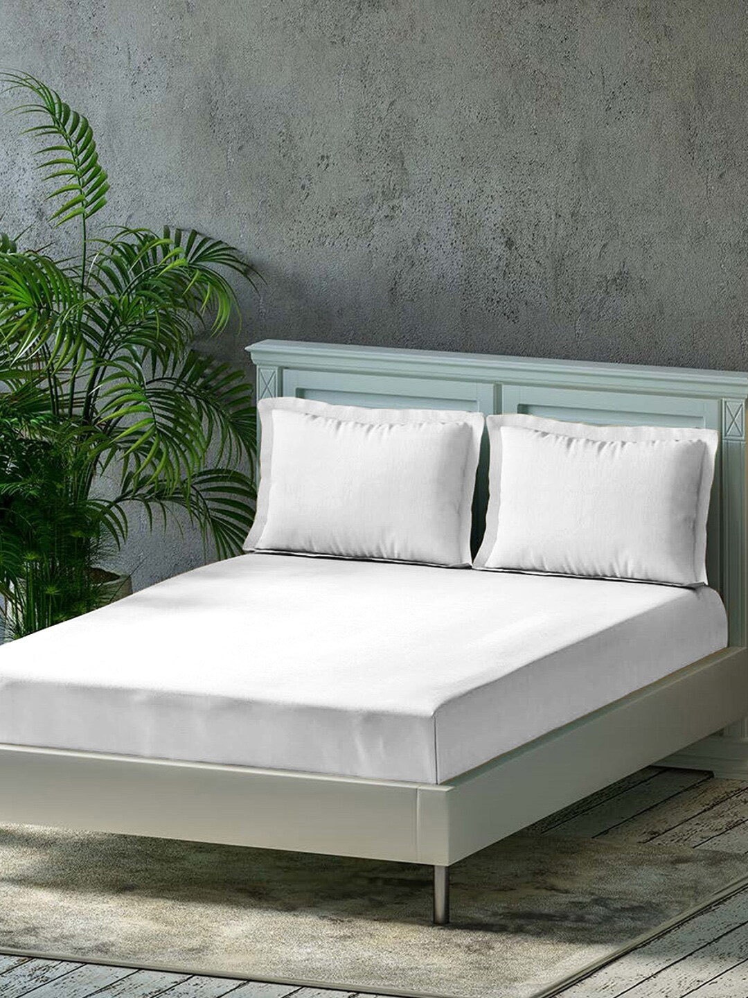 Trance Home Linen White Pure Cotton 300 TC Fitted Queen Fine Bedsheet with 2 Pillow Covers-78 x 60 inches