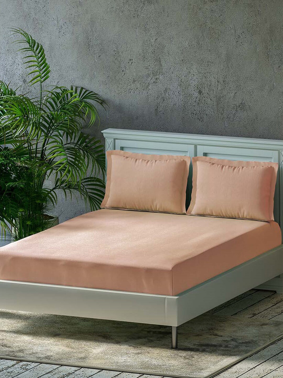 Trance Home Linen Peach Cotton 300 TC Queen Fine Bedsheet with 2 Pillow Covers-78 x 60 inches