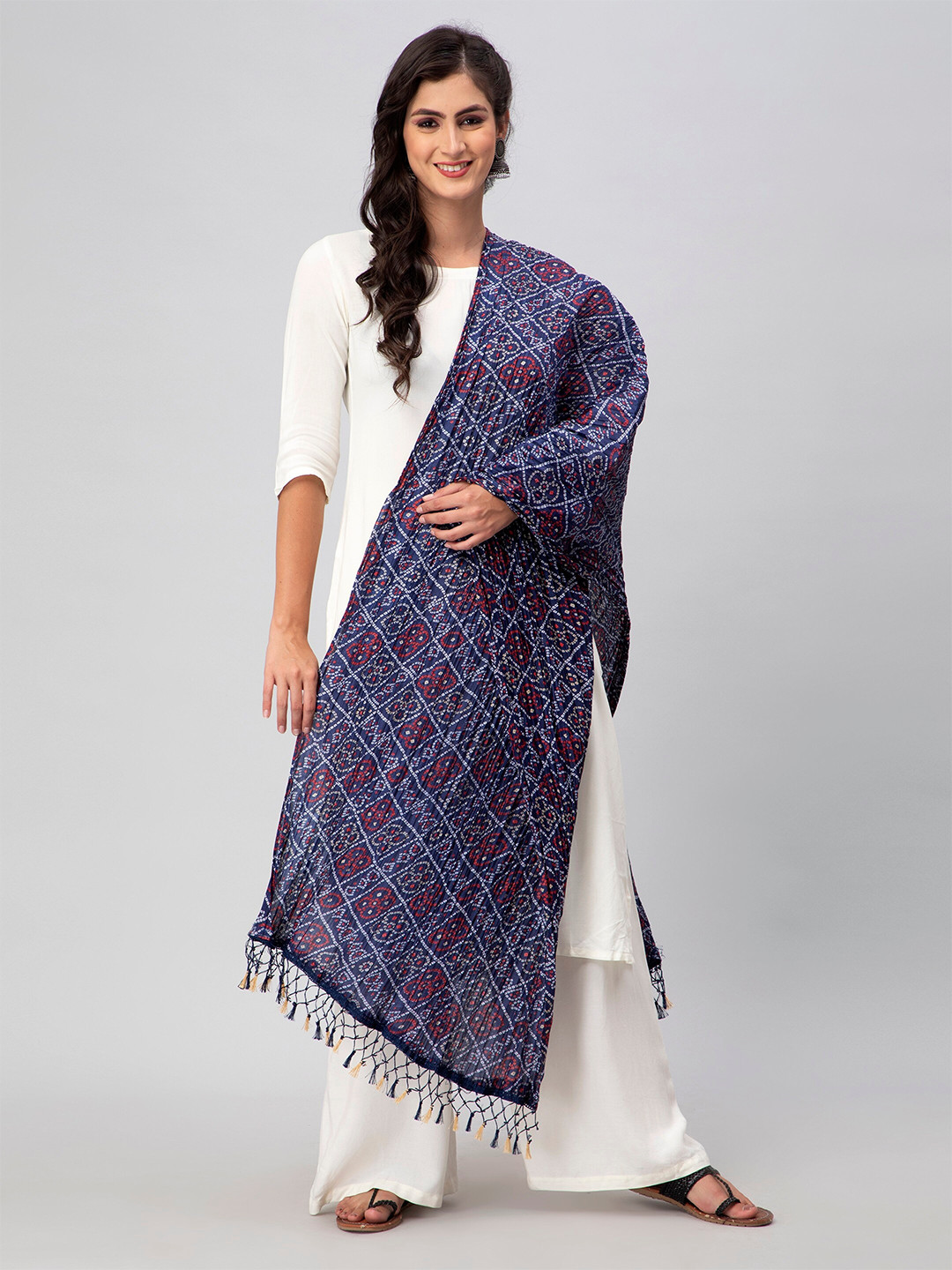 Aditi Wasan Ethnic Motifs Printed Dupatta