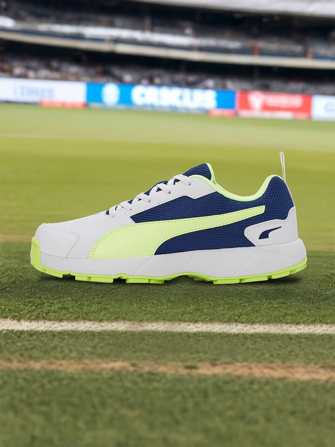 Puma Men High Run Cricket Sports Shoes