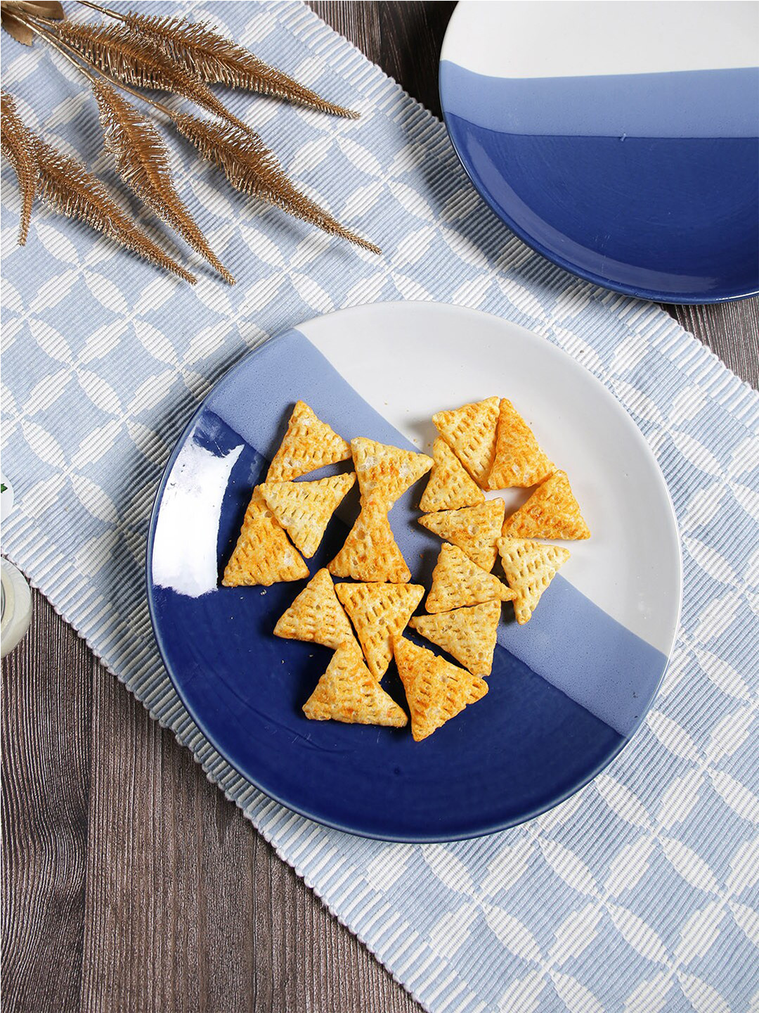 Aapno Rajasthan Blue & White 2 Pieces Textured Ceramic Glossy Plates