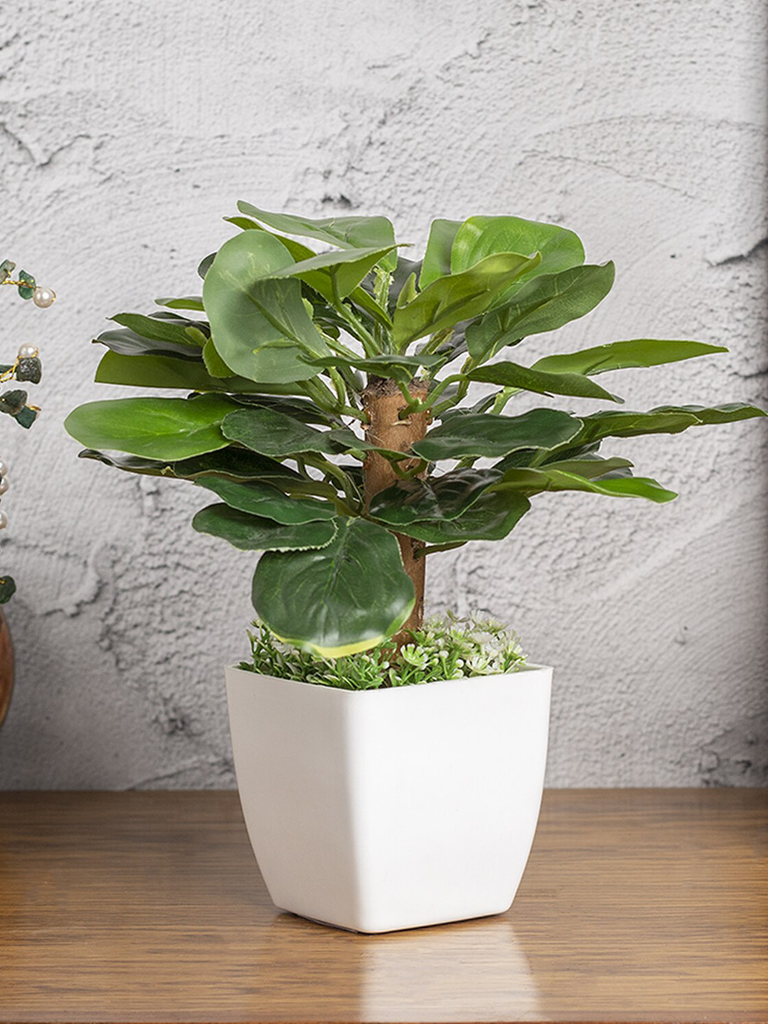 MARKET99 Green & Obcordate Shape Leafs Plant With Ceramic Pot