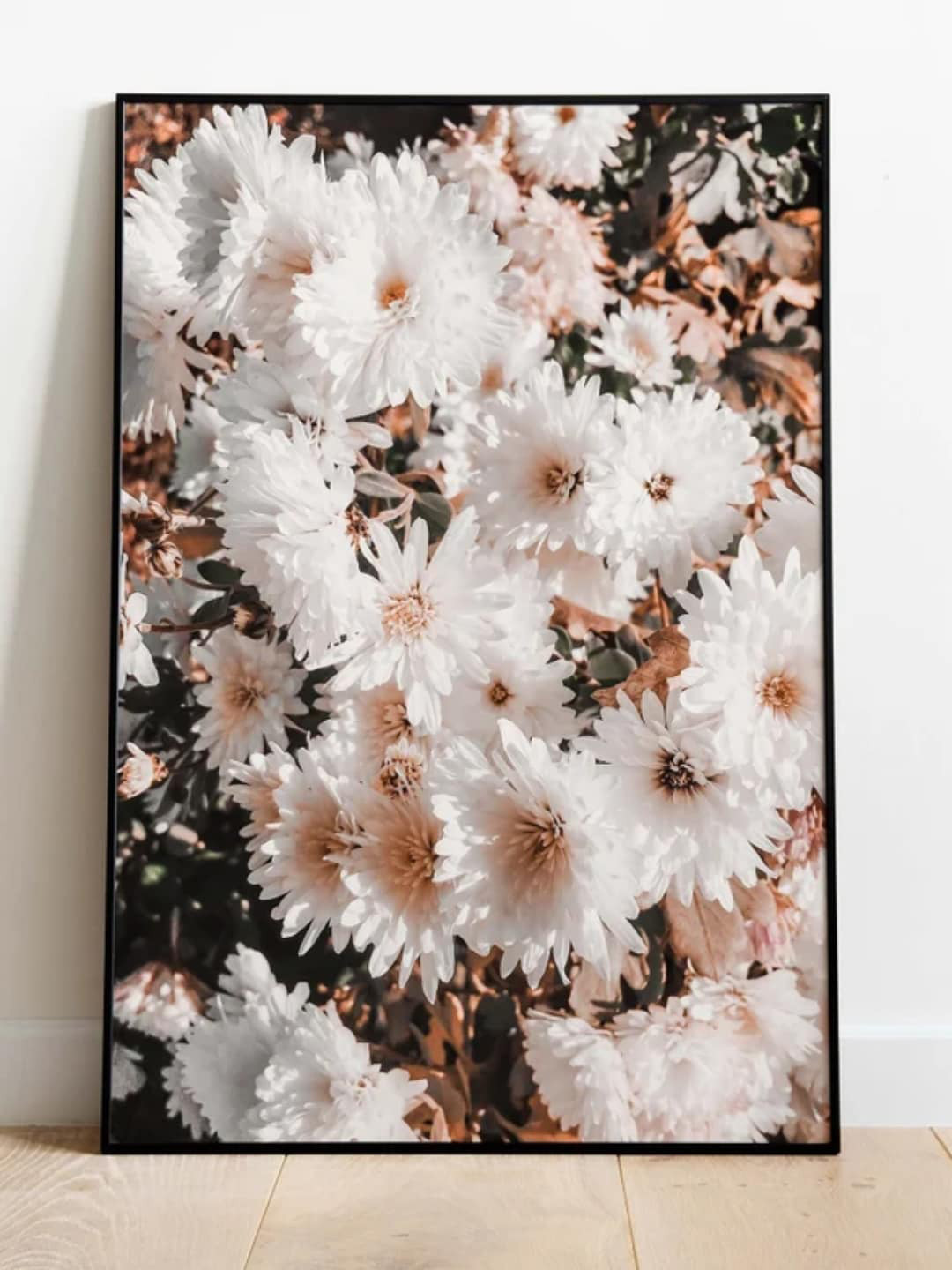 INDIAN CLASSIC ART White & Brown Chrysanthemum Flowers Photo Print Wall Art