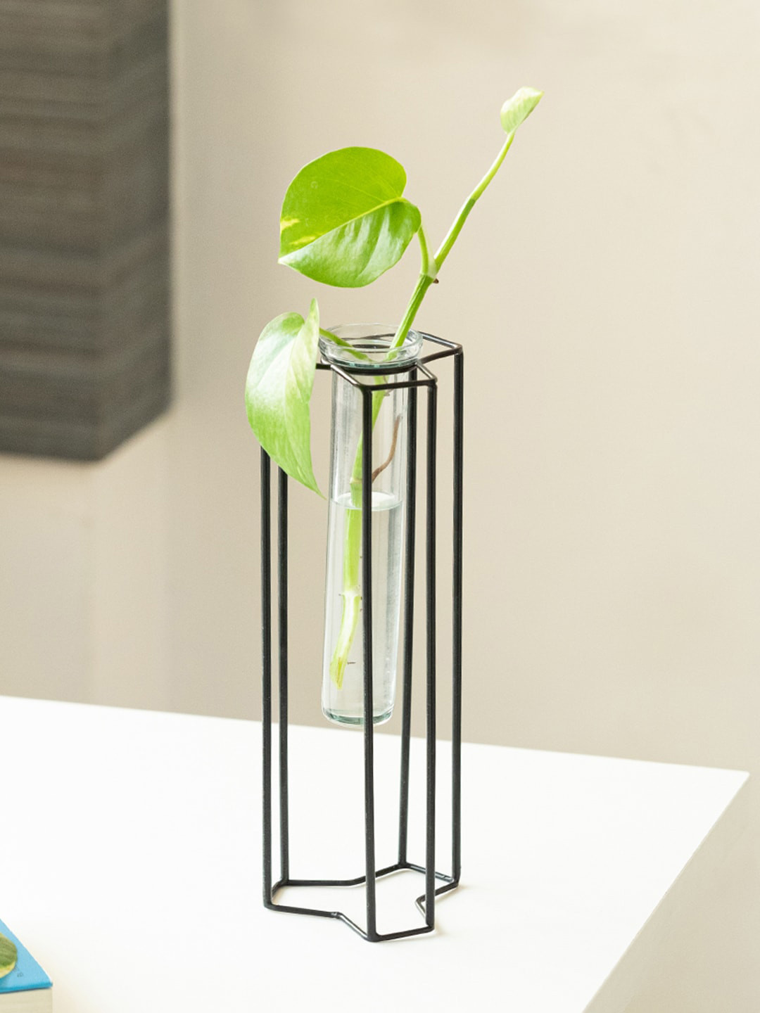 ExclusiveLane Modern Glass Garden Transparent & Black Test Tube Table Planter