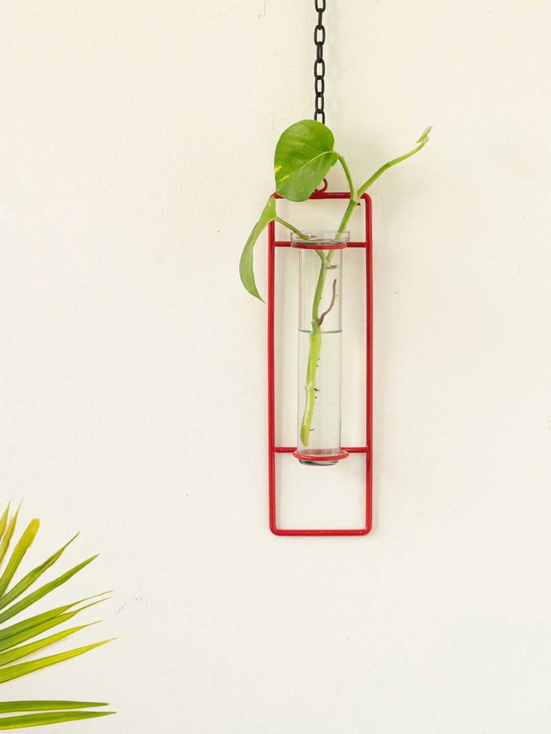 ExclusiveLane Modern Glass Garden Transparent & Red Test Tube Hanging Planter