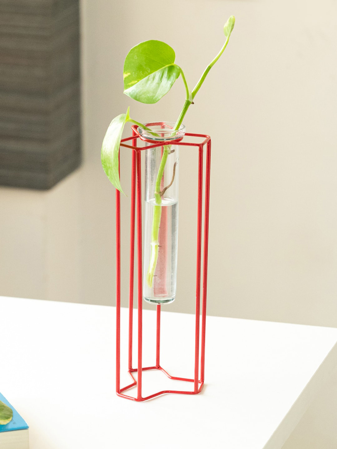 ExclusiveLane Transparent and Red Modern Glass Garden Glass Test Tube Planters With Holder
