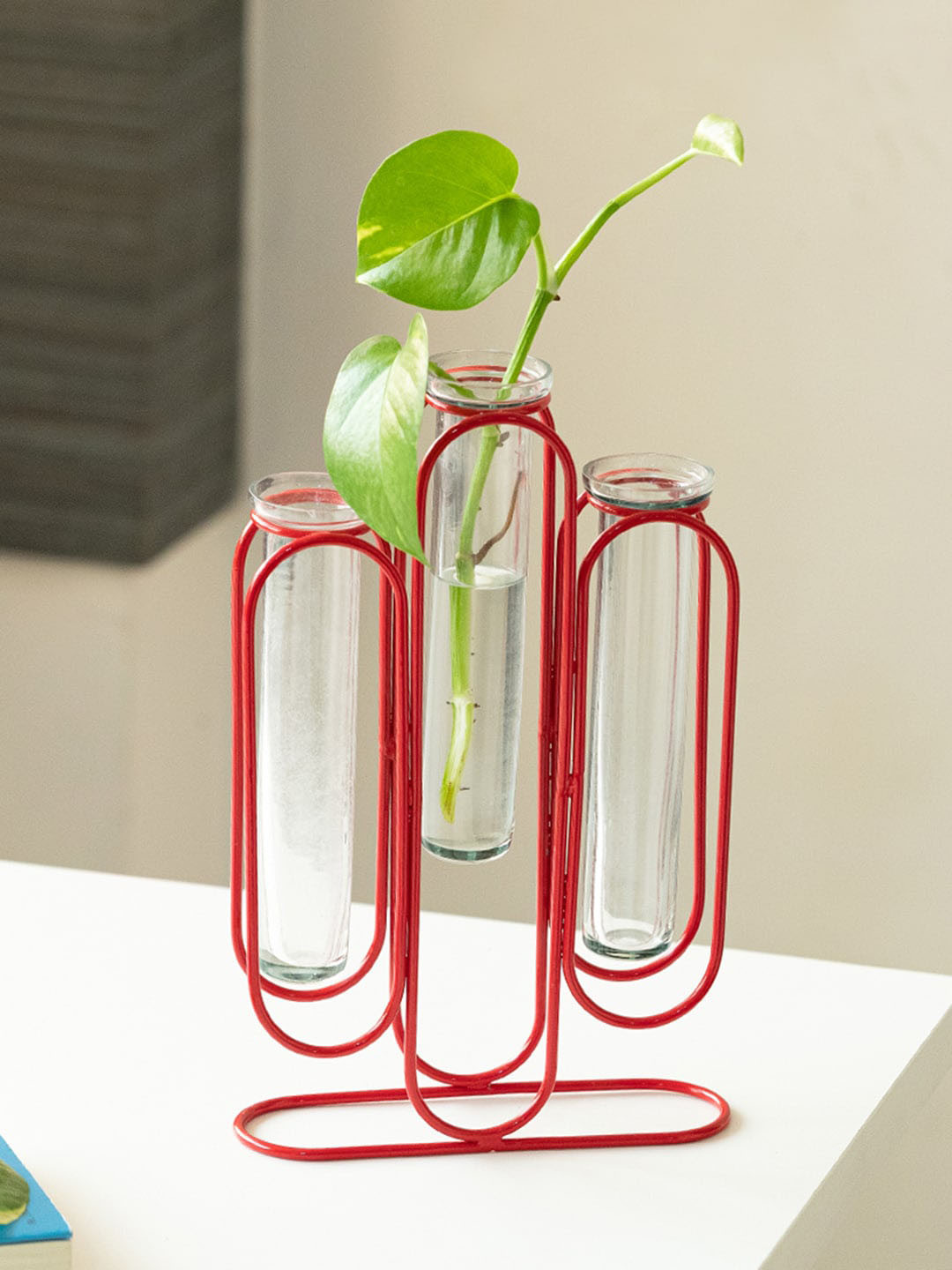 ExclusiveLane Modern Glass Garden Transparent & Red Glass 3 Test Tube Planters With Holder