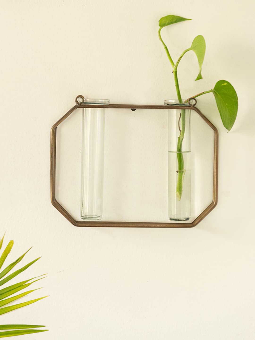 ExclusiveLane Modern Glass Garden Transparent Glass 2 Test Tube Planters With Holder