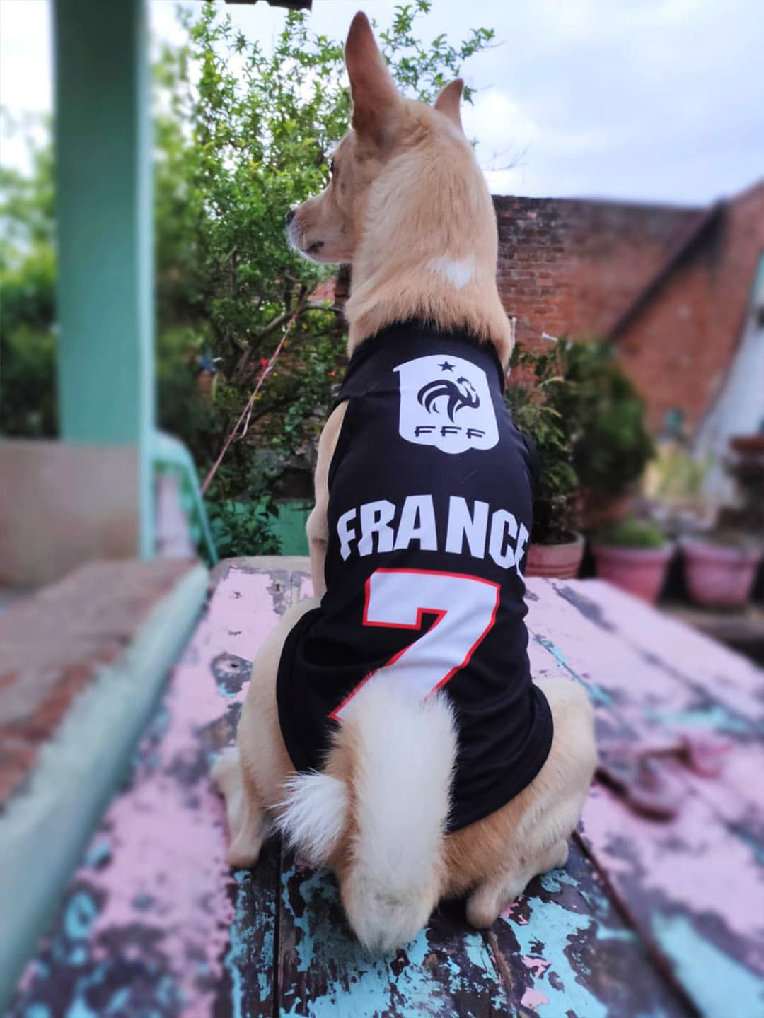 Lulala Printed Dog T-shirt