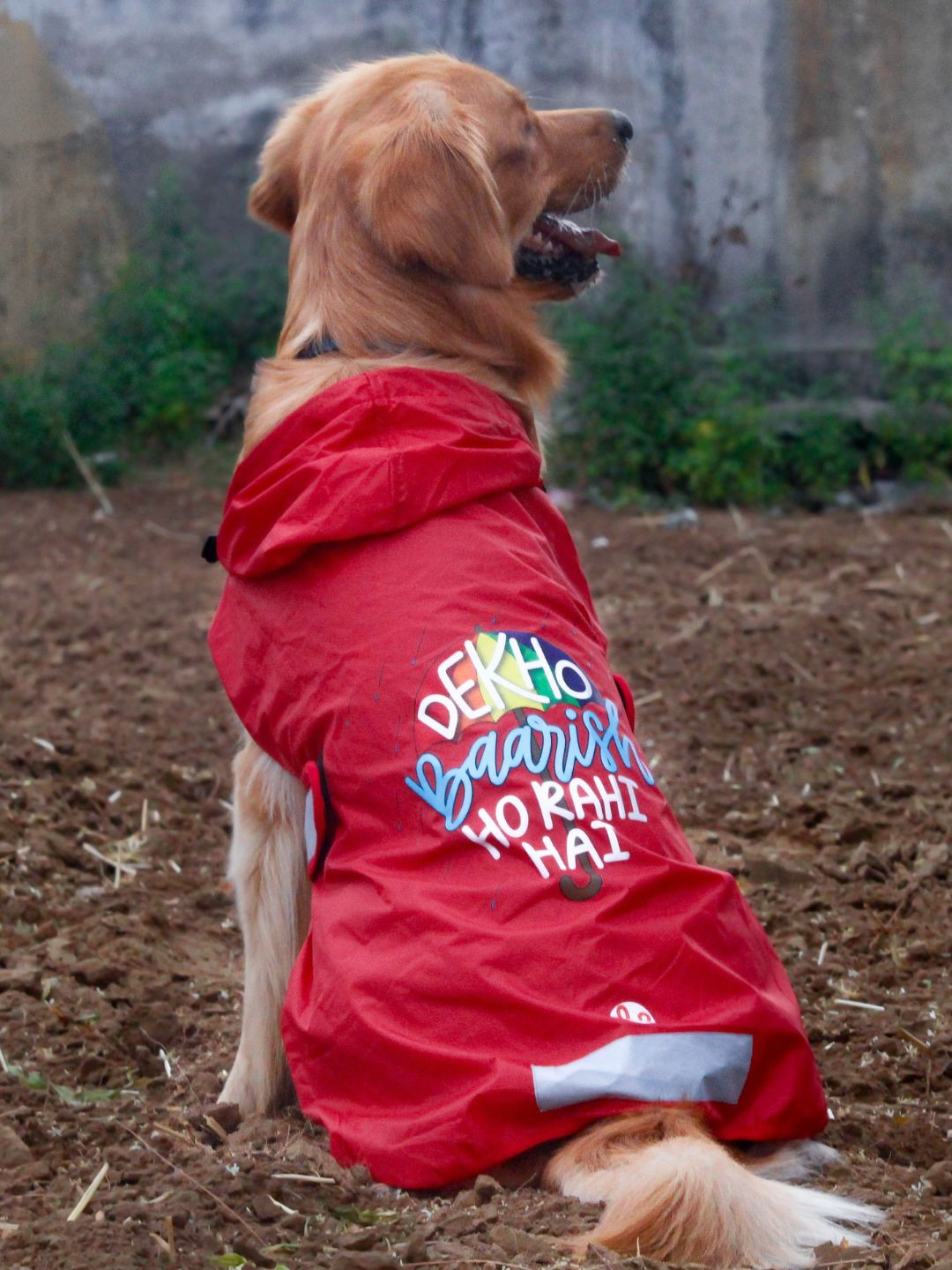 LANA PAWS Printed Waterproof hooded Dog Raincoat