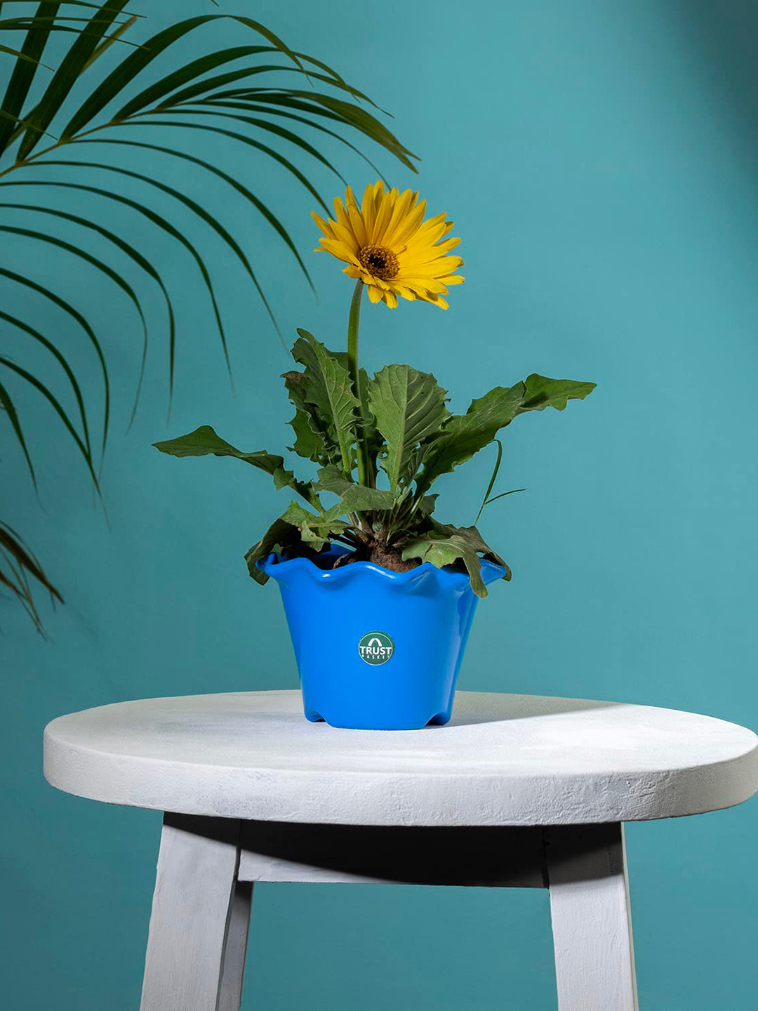 TRUSTBASKET Blue Fade Resistant Blossom Planter