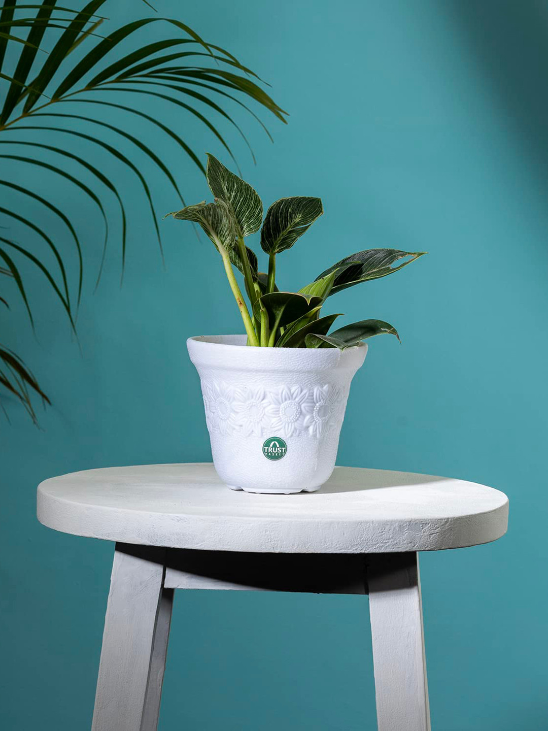 TRUSTBASKET White Textured Sunny Planter