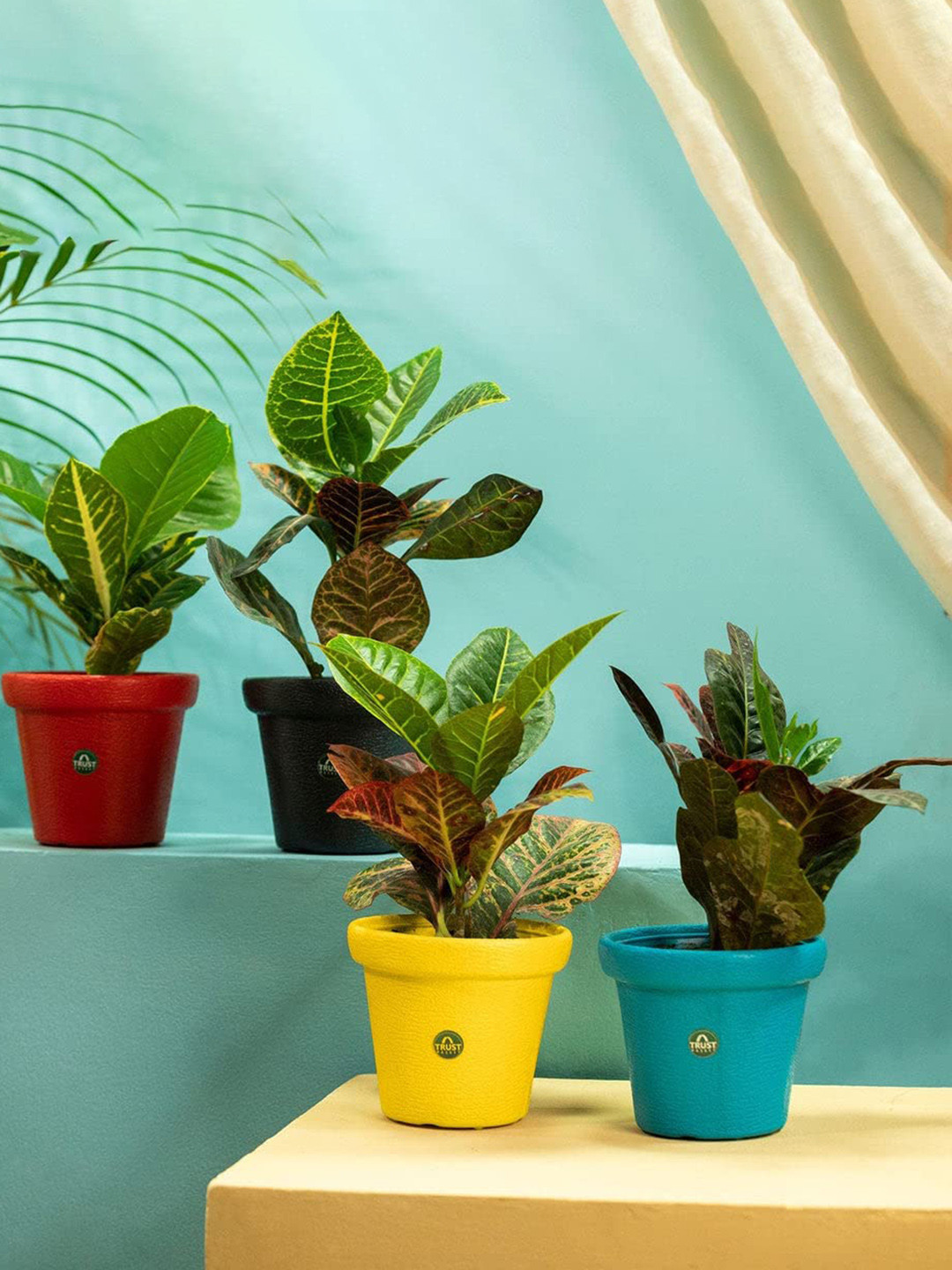 TRUSTBASKET Blue & Red 4 Pieces Textured Crown Planters