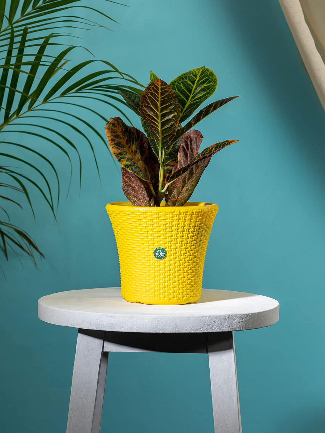 TRUSTBASKET Yellow Textured Helix Planter