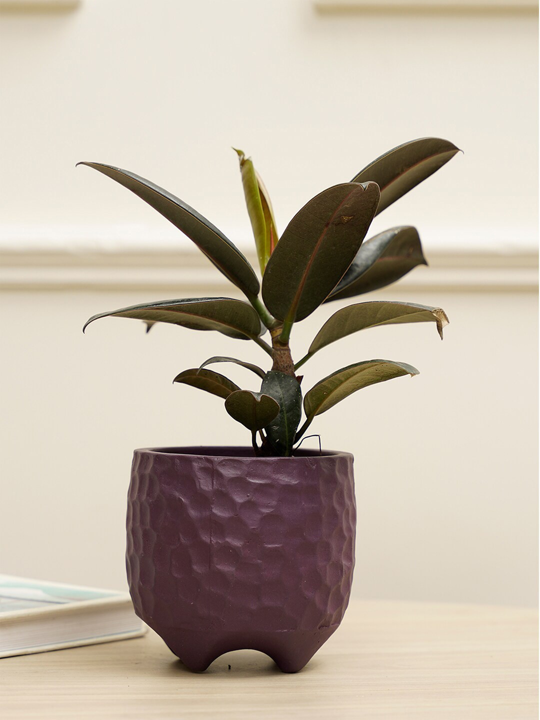 PUREZENTO Purple Textured Pebble Planter