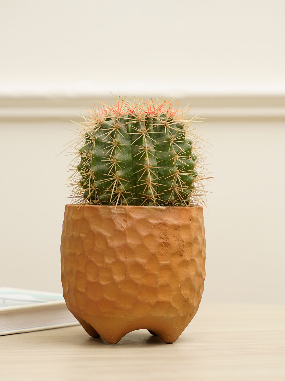 PUREZENTO Brown Textured Pebble Planter