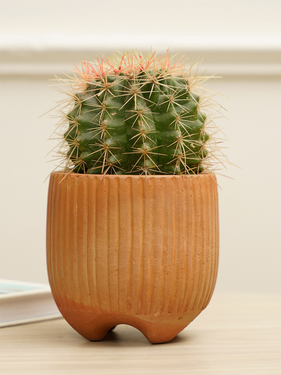 PUREZENTO Brown Striped Terracotta UV Stable Planter