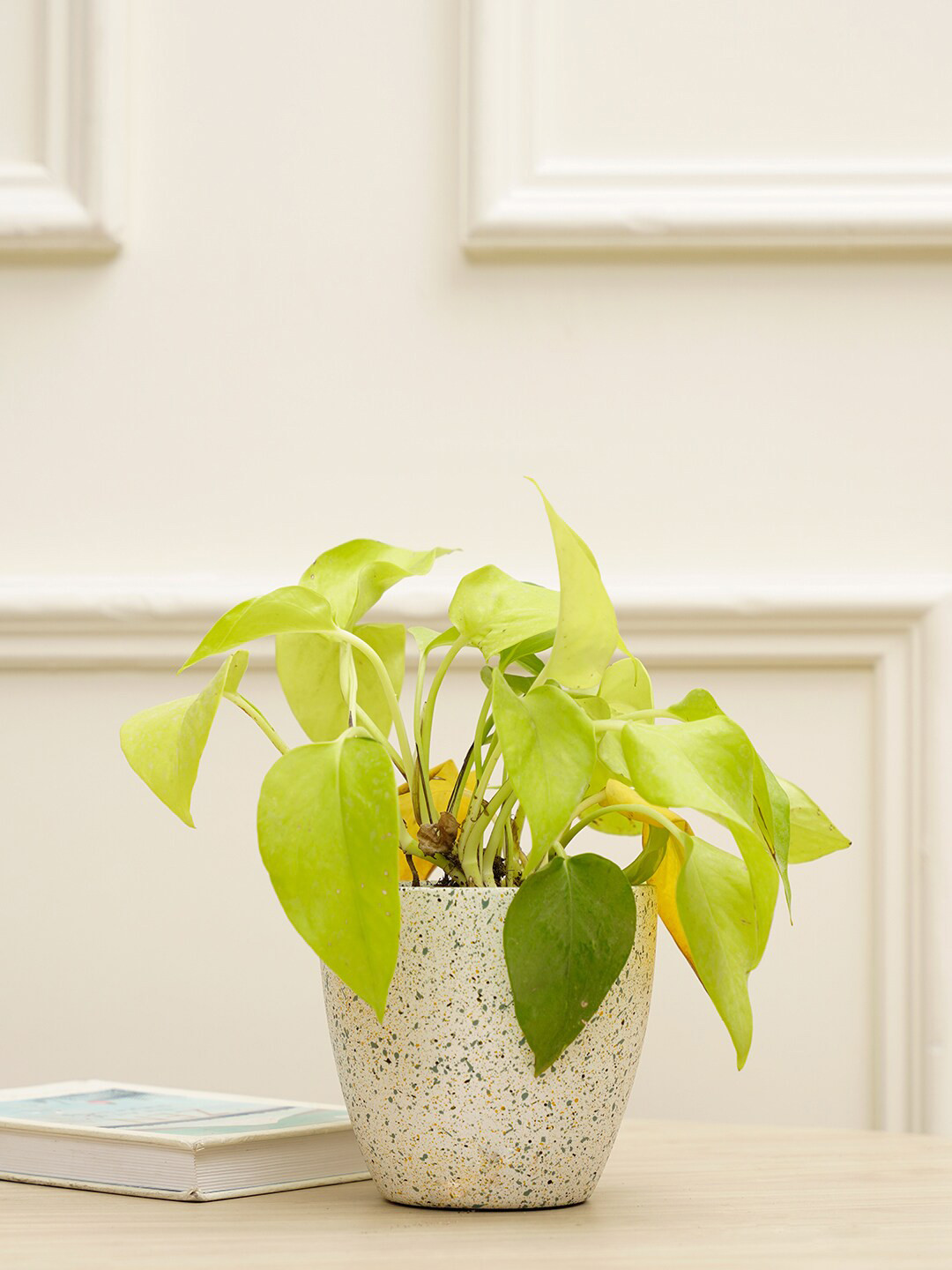 PUREZENTO White Printed Marabelle Planter