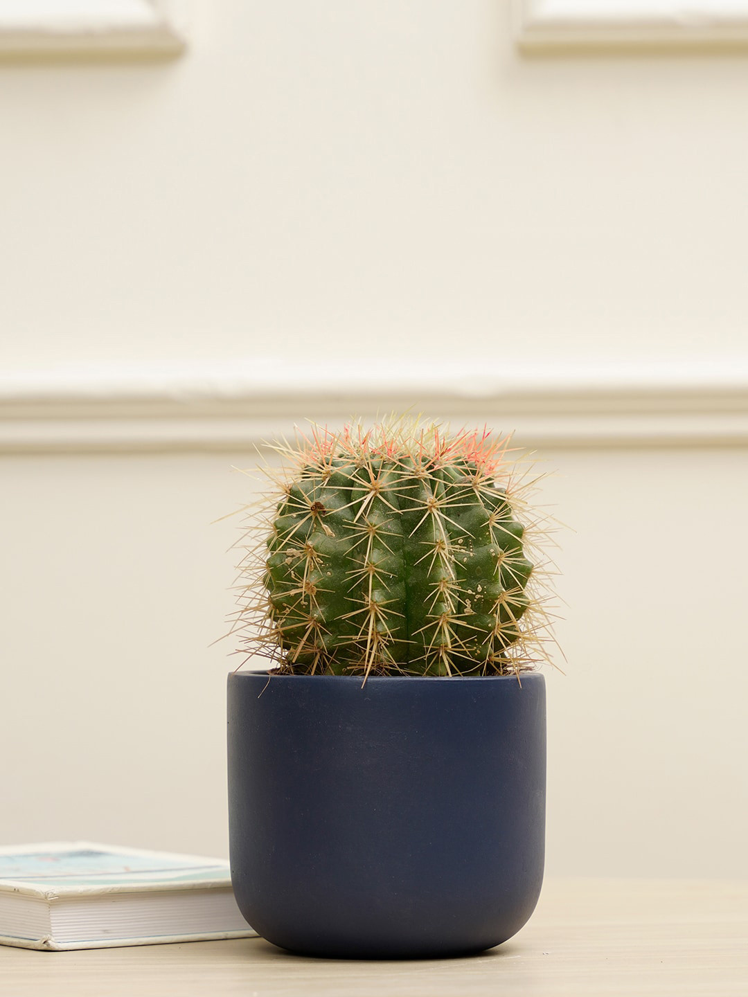 PUREZENTO Blue Terracotta UV Stable Planter