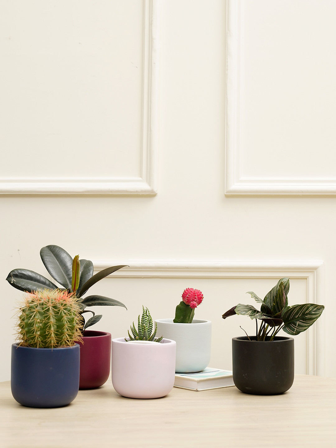 PUREZENTO Black & Blue 5 Pieces Terracotta UV Stable Planters