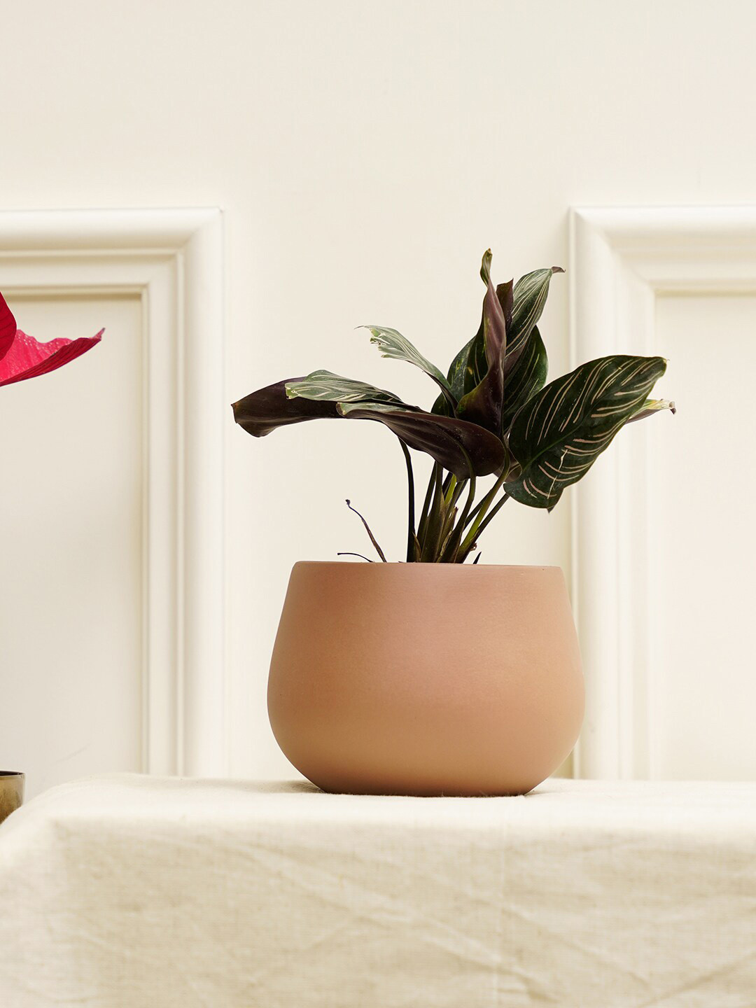 PUREZENTO Brown Terracotta Mesa Planter