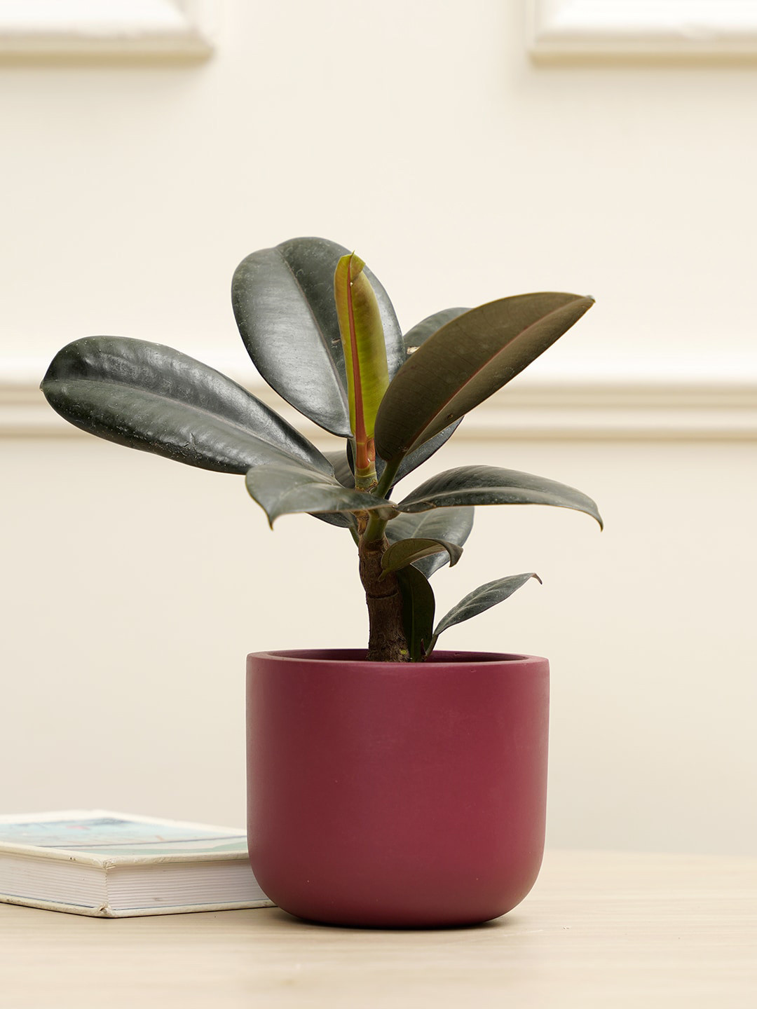 PUREZENTO Maroon Terracotta Jeanie Planter