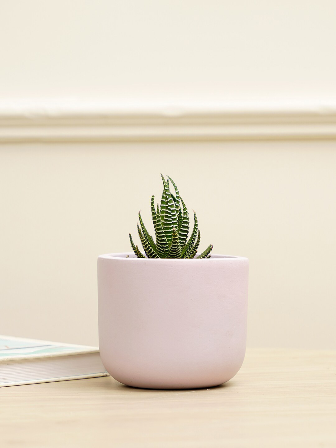 PUREZENTO Purple Terracotta Jeanie Planter