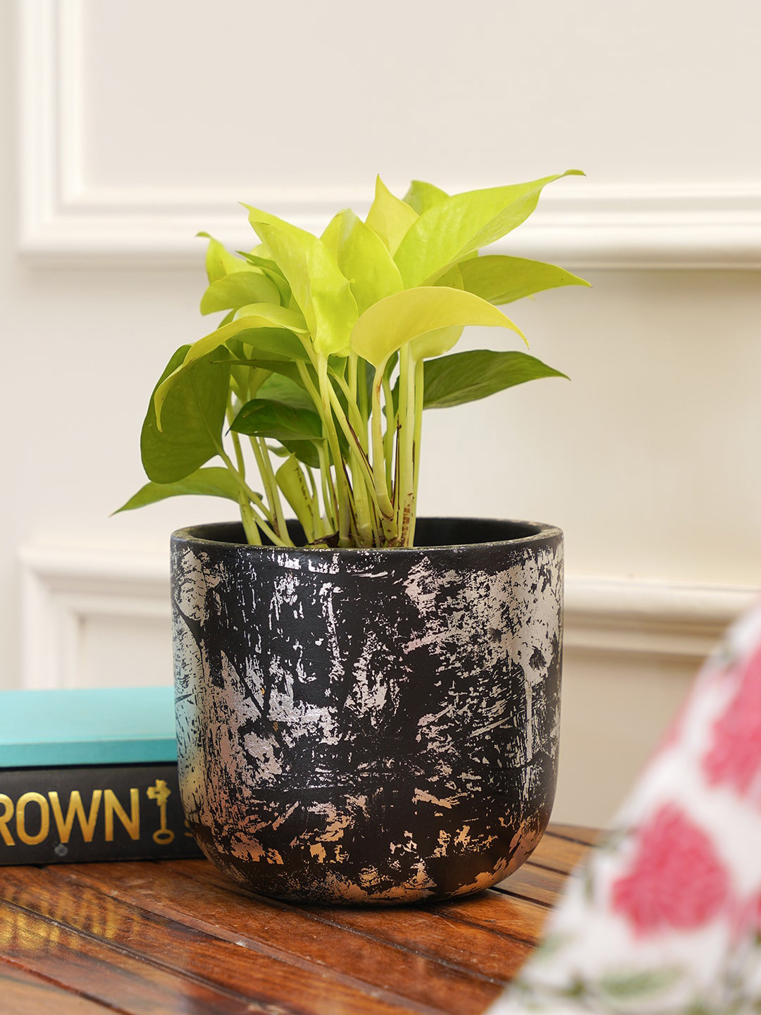 PUREZENTO Black Printed Century Eco-Friendly Planter