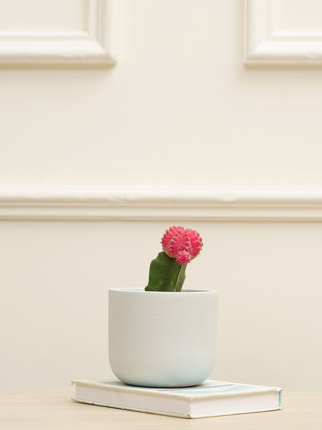 PUREZENTO Blue Terracotta Jeanie Eco-Friendly Planter