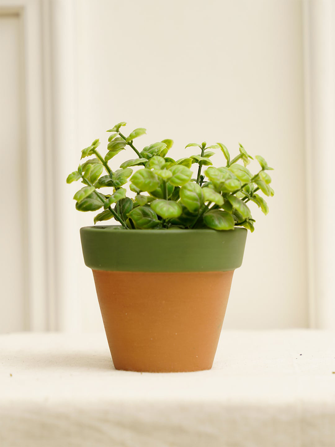 PUREZENTO Green Terracotta Tiny Eco-Friendly Planter