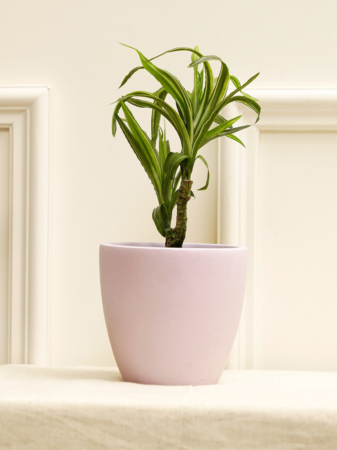 PUREZENTO Purple Terracotta Tazio Eco-Friendly Planter