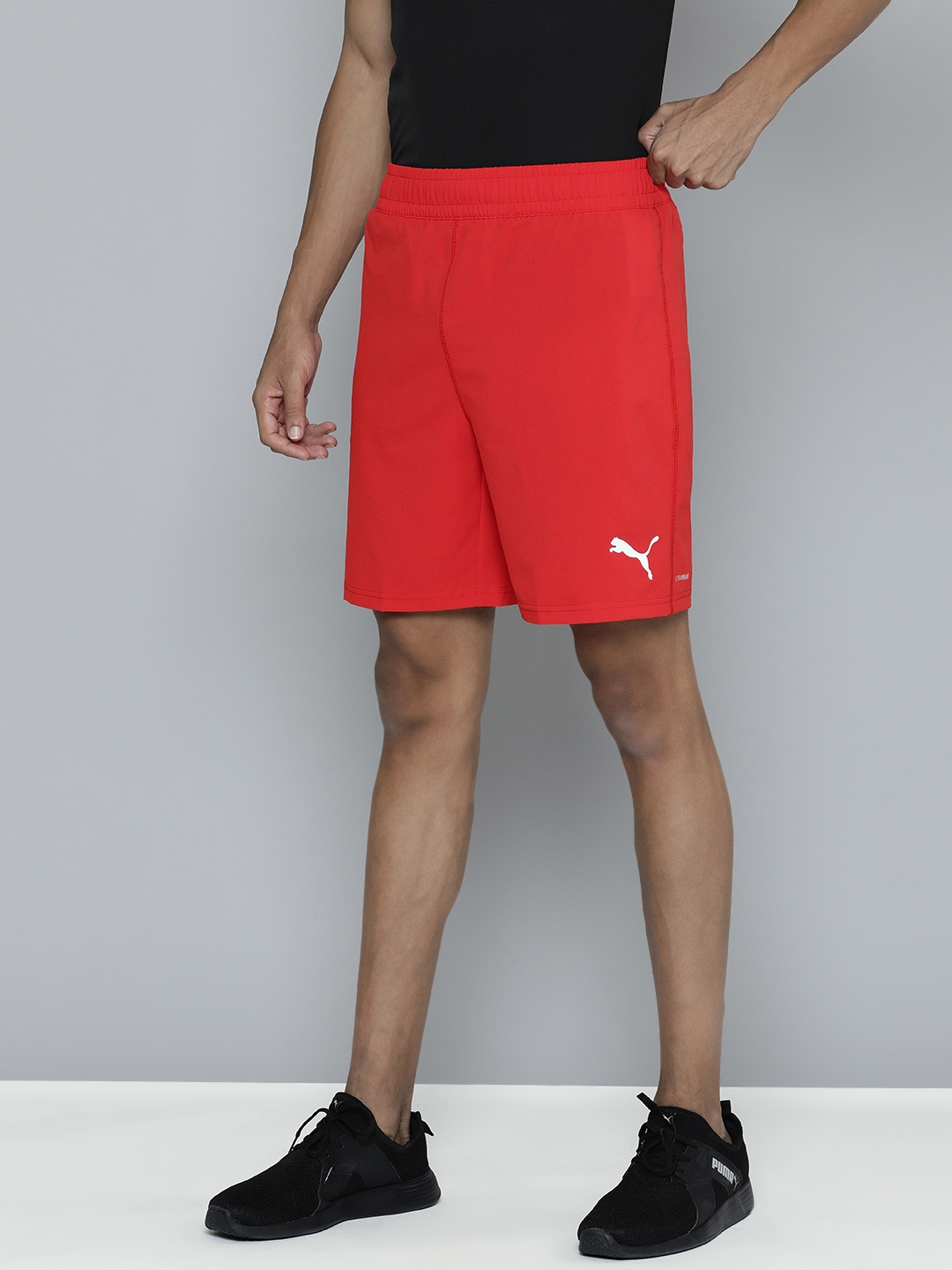 Short puma dry cell online