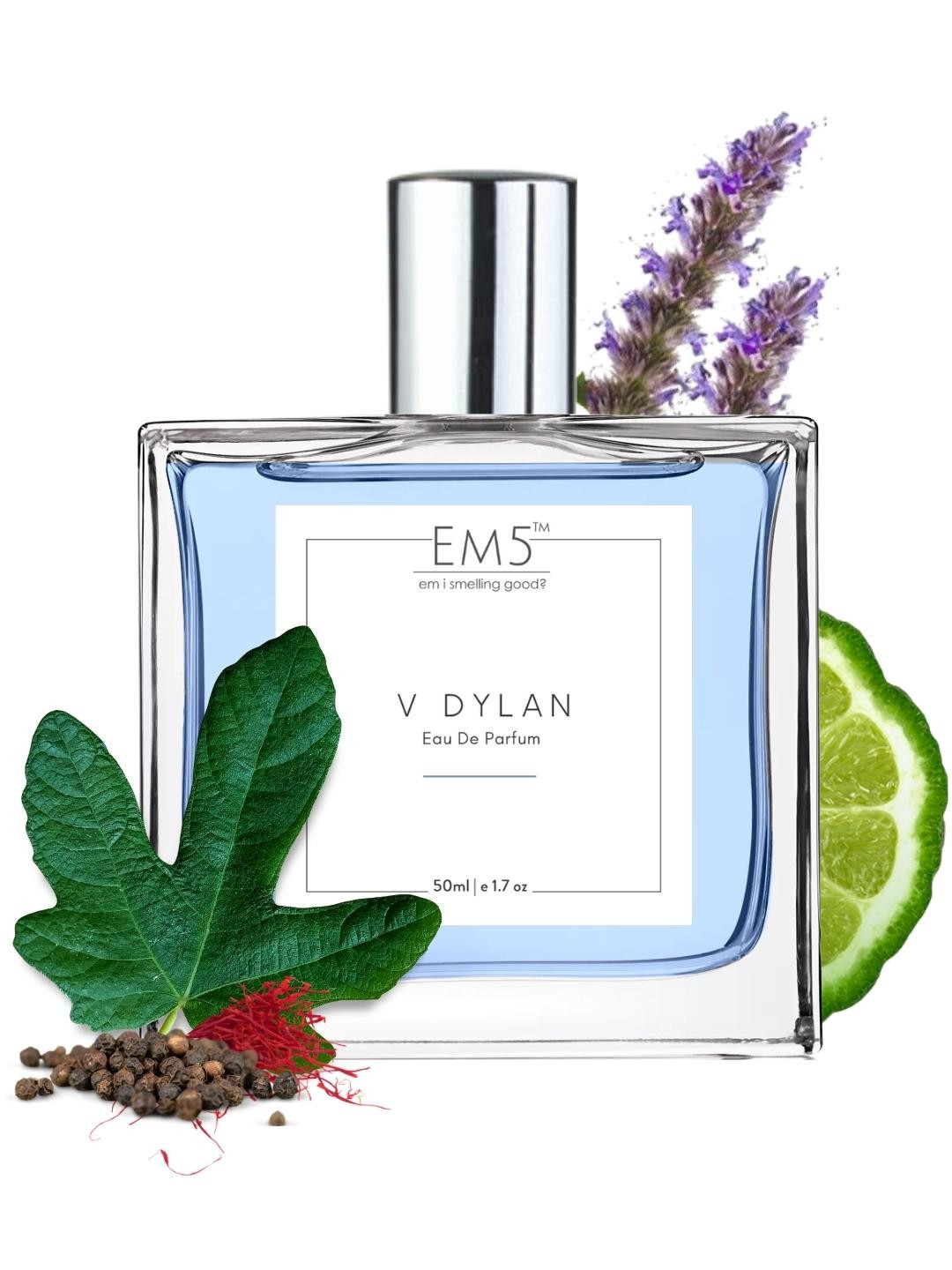 EM5 Men V Dylan Aromatic Woody Fresh Eau De Parfum