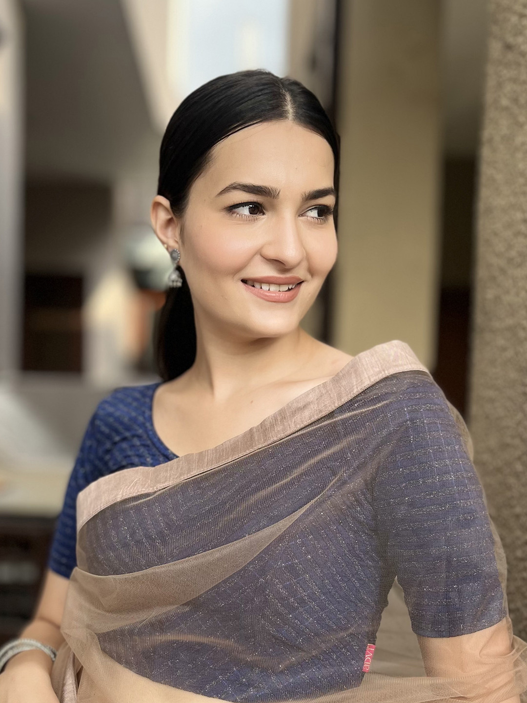 Bindigasm's Advi Jacquard Zari Striped Stretchable Saree Blouse