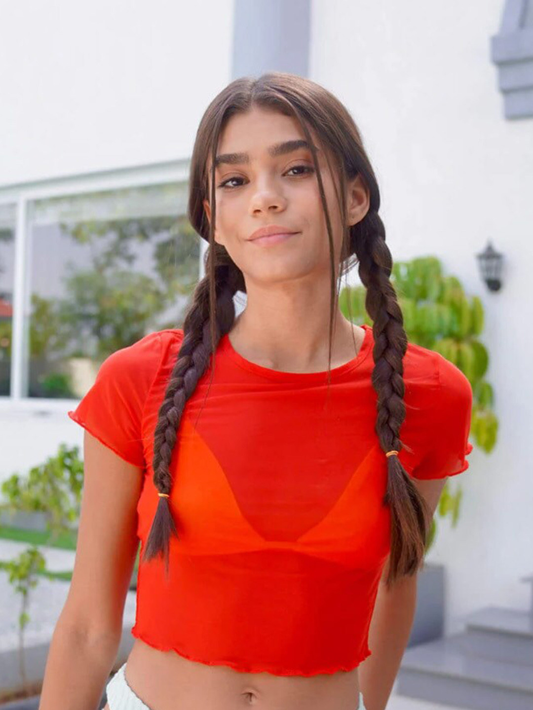 Bonkers Corner Red Sheer Regular Crop Top