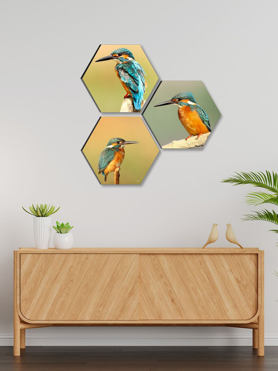 SAF Peach Coloured 3 Pieces Birds Painting Hexagon UV Textured Wall Arts