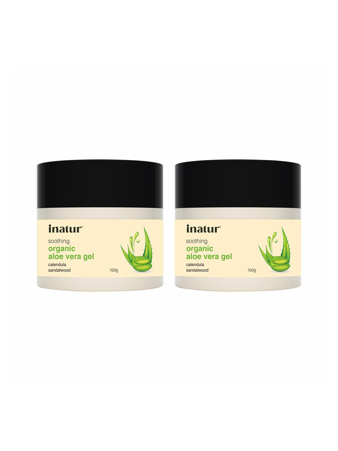 Inatur Combo Of 2 Aloe Vera Carrier Gel 100g Each