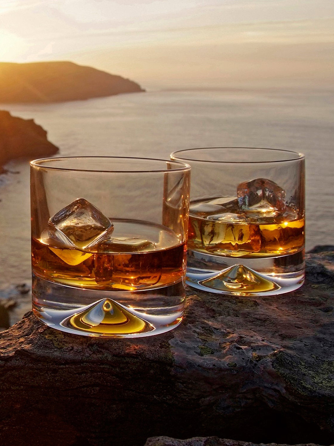 DARTINGTON Transparent 2-Pieces Double Old Fashioned Whiskey Glasses