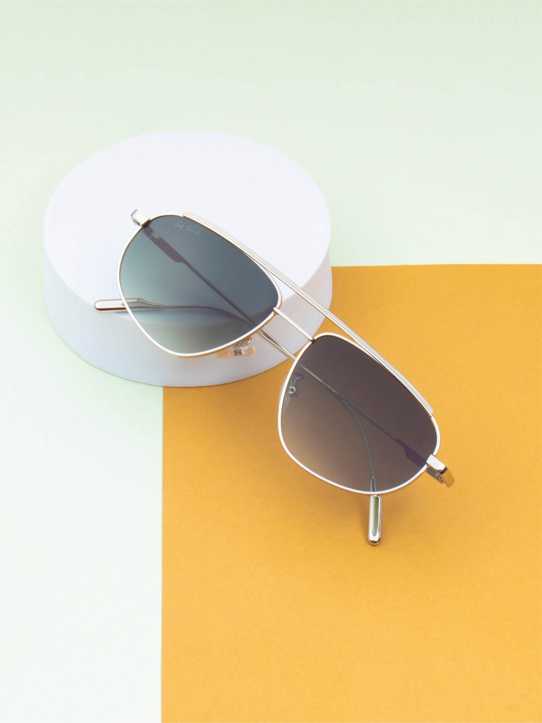 Ted Smith Wayfarer Sunglasses with UV Protected Lens TREXY_C2