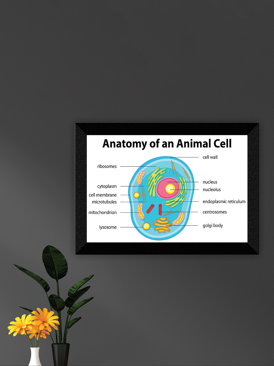 SAF White & Blue Animal Cell Printed UV Coating Wall Art