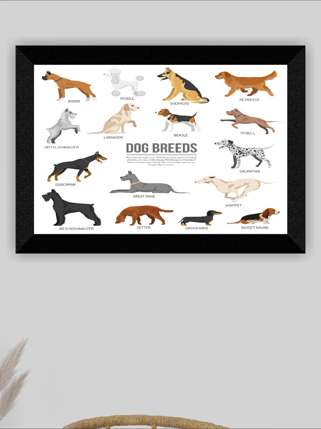 SAF Black & White Dog Breeds Wall Art
