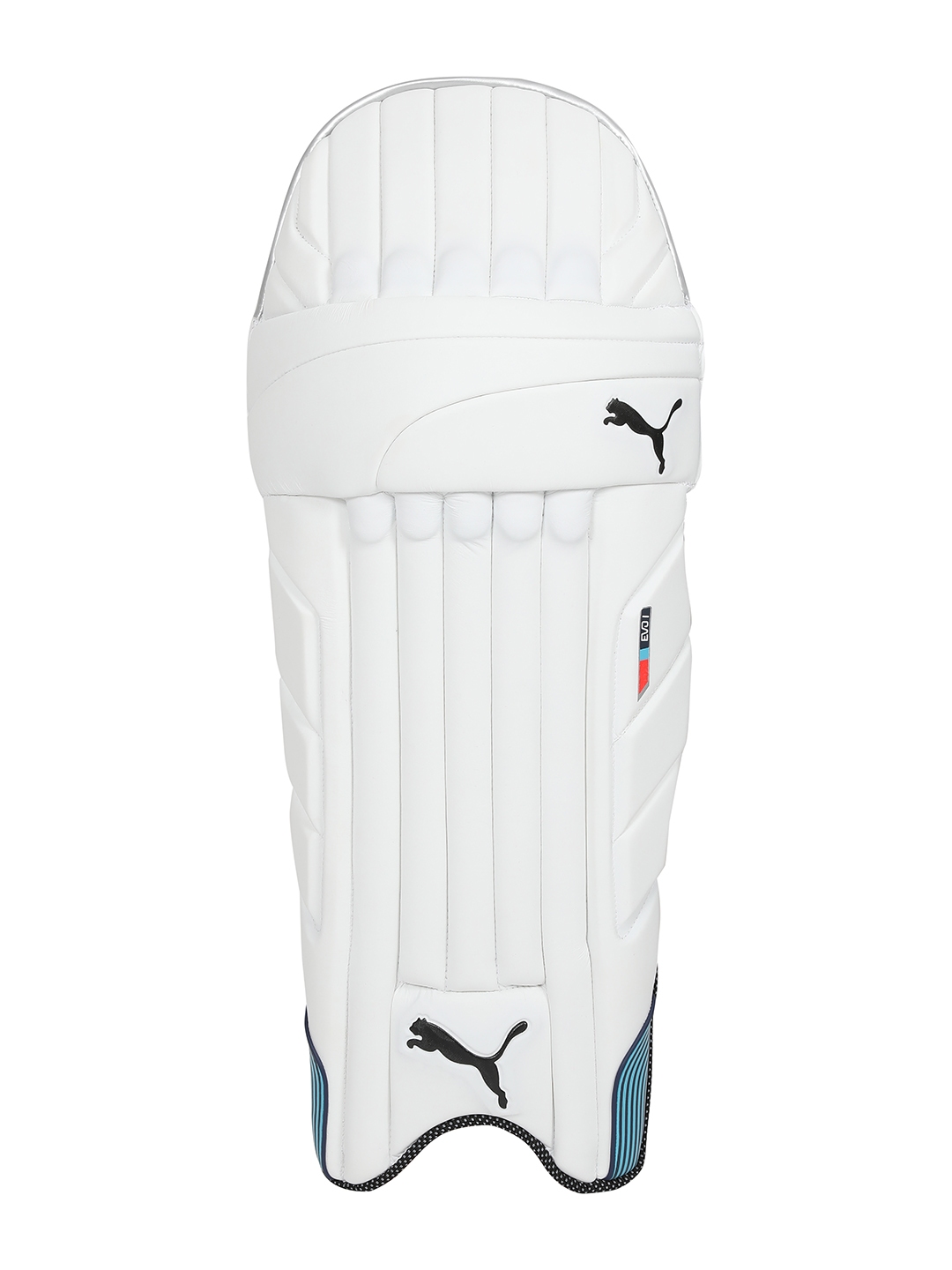 Puma evo 2 sales batting pads